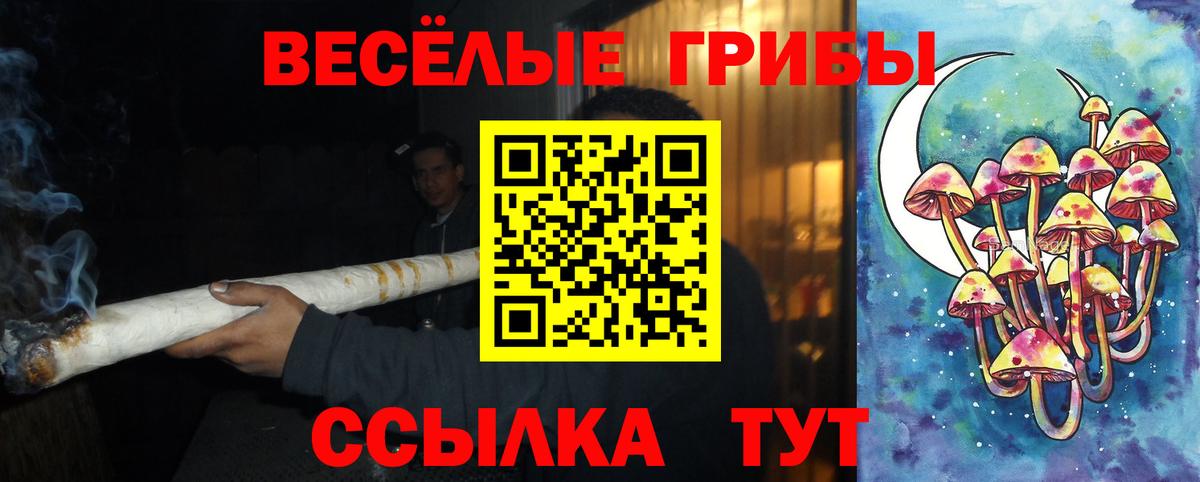 Псилоцибиновые грибы мицелий Боровичи